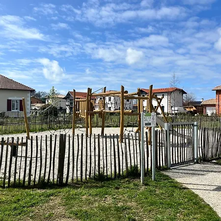 Apartment Petit Bijou 24 P Ideally Located La Teste-de-Buch